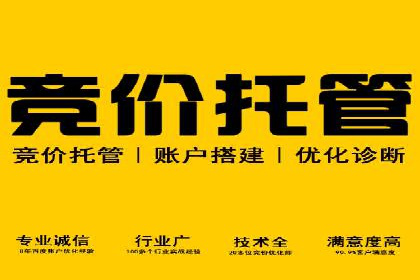 百度推广运营案例精选：揭秘成功之道